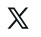 X (Twitter)